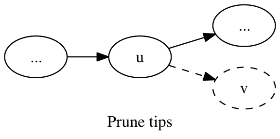 Figure 2. Prune tips