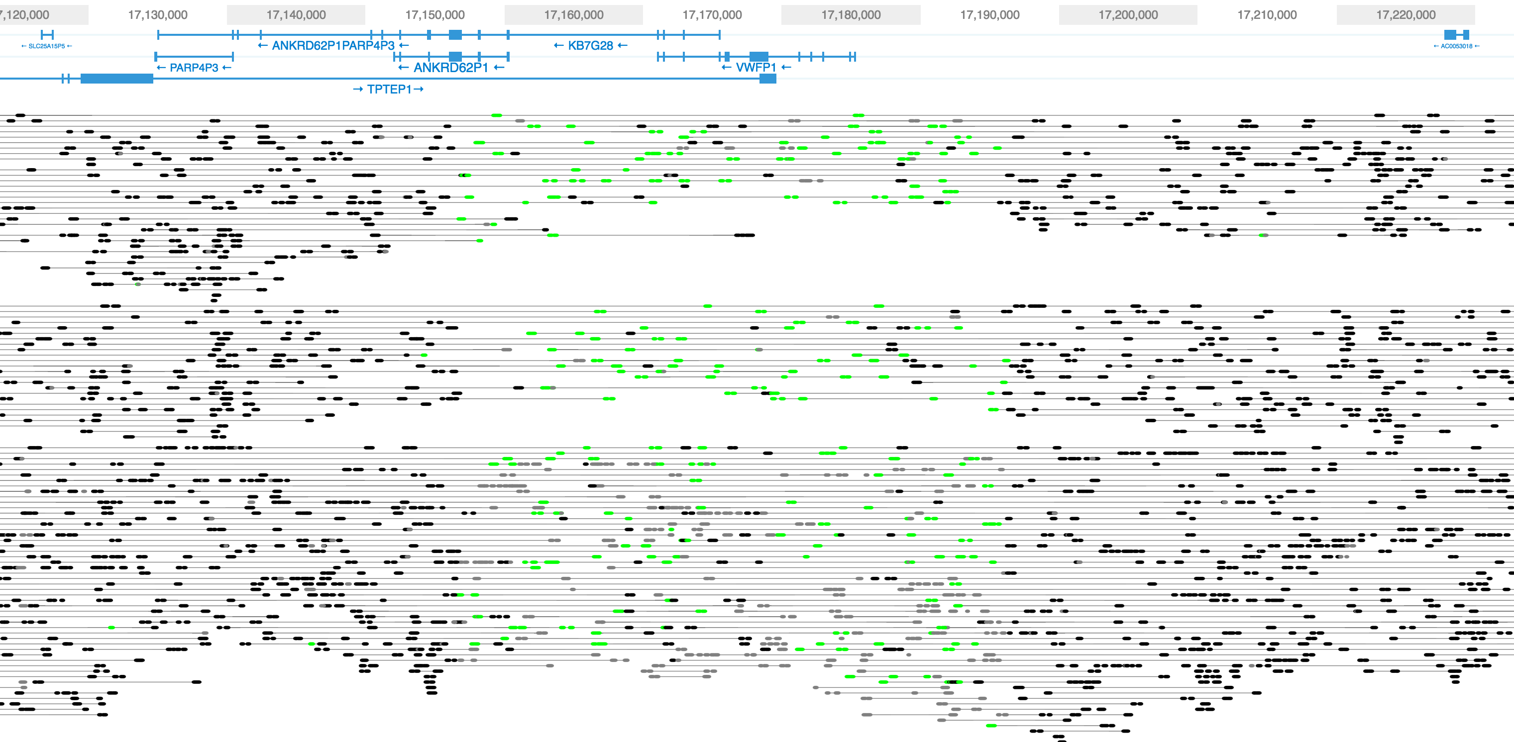 10x Genomics Chromium Linked Reads