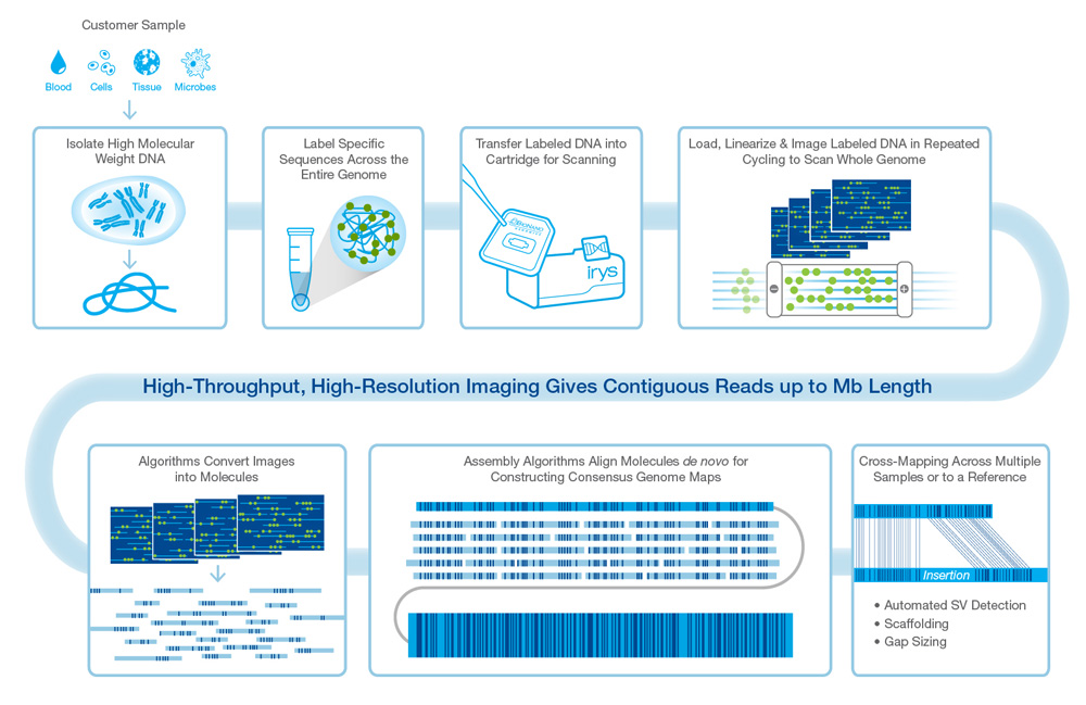 BioNano Genomics Irys
