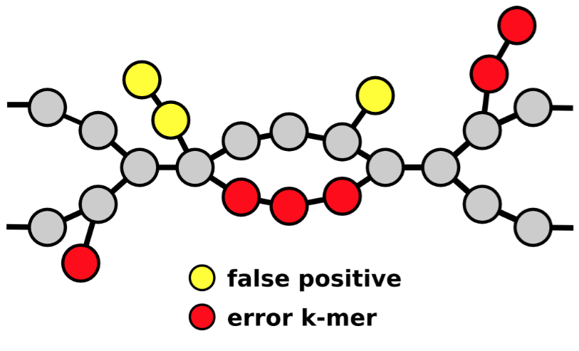 Sequencing errors and Bloom filter false positives