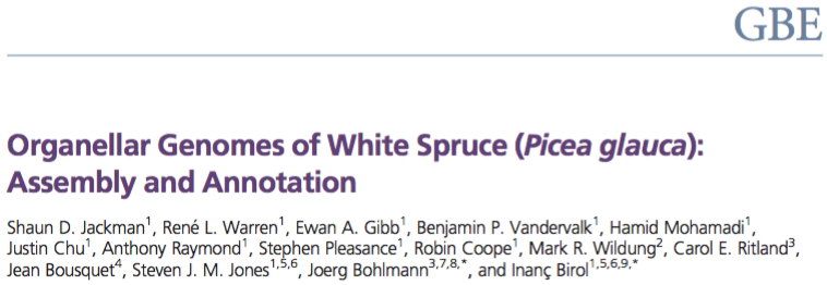 Organellar Genomes of White Spruce