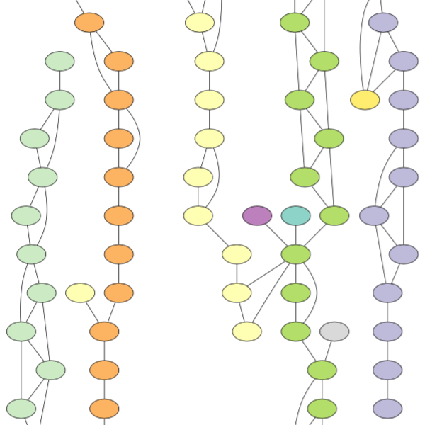 Graph of 10 kbp segments sharing barcodes