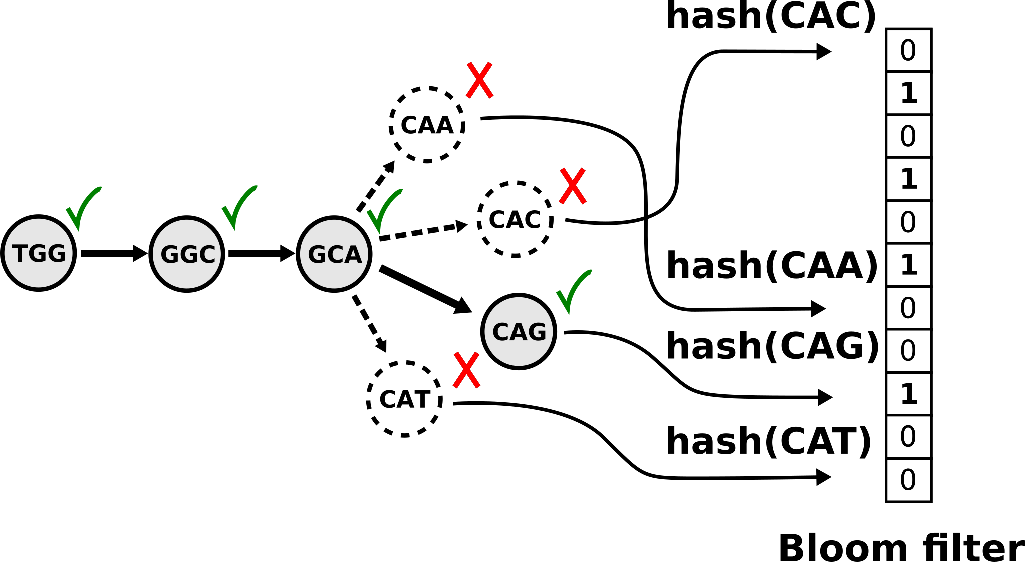 Navigating a Bloom filter de Bruijn graph Introduced by Minia (Chikhi et al. 2012)