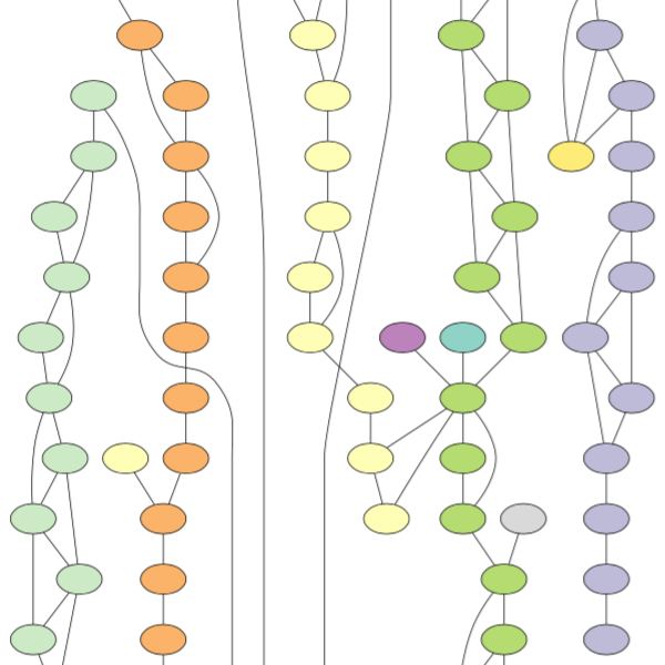 Graph of 10 kbp segments sharing barcodes